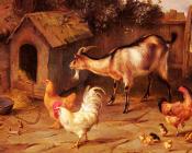 埃德加亨特 - Fowl Chicks And Goats By A Dog Kennel
